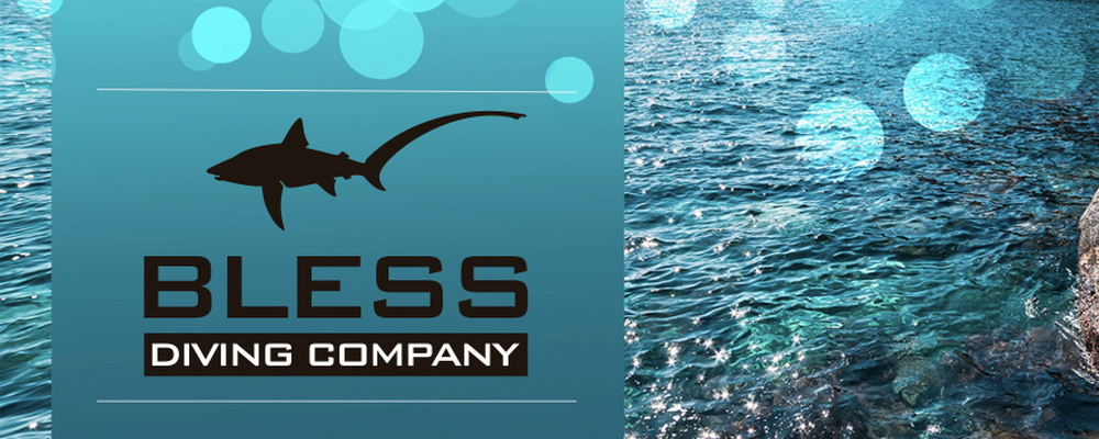 BLESS DIVING COMPANY カバー