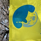 湘南鎌倉マナティ プロフィール