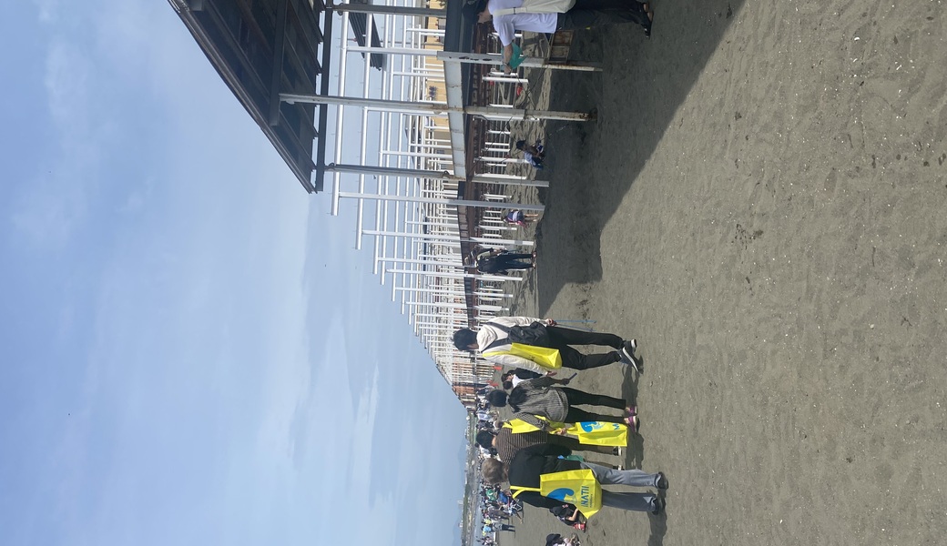 江ノ島マナティ レポート