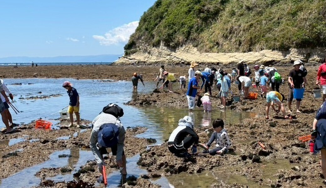 735style 磯焼け対策　ウニ採捕 レポート