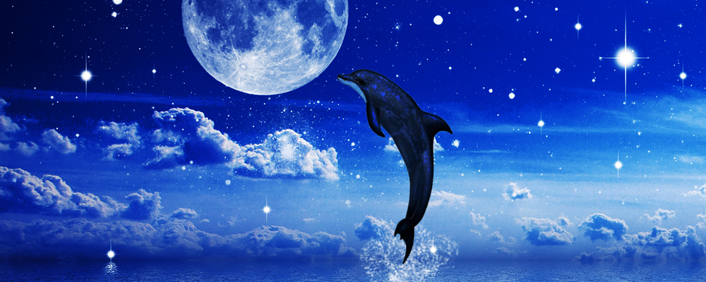 プレシャスプラスチック唐津 カバー