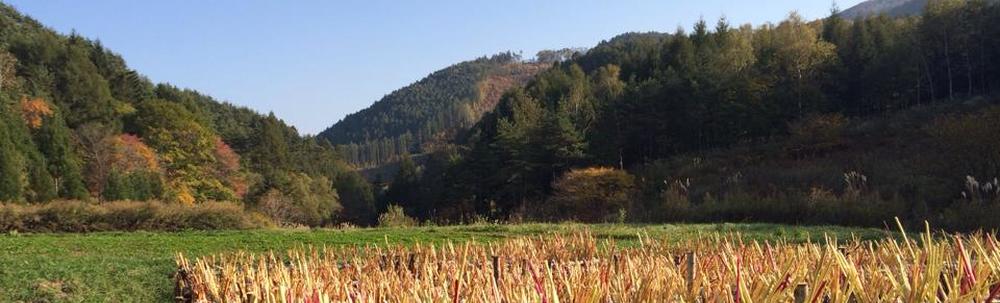 NPO法人Liko-net カバー