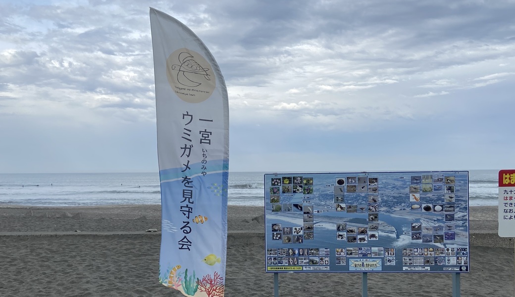 青いサンタになって、綺麗な海を未来に！ アイキャッチ