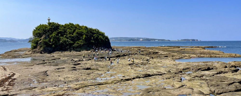 公益財団法人天神崎の自然を大切にする会 カバー