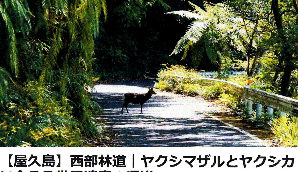 「道の日」県道７８号線沿いのゴミ拾い アイキャッチ