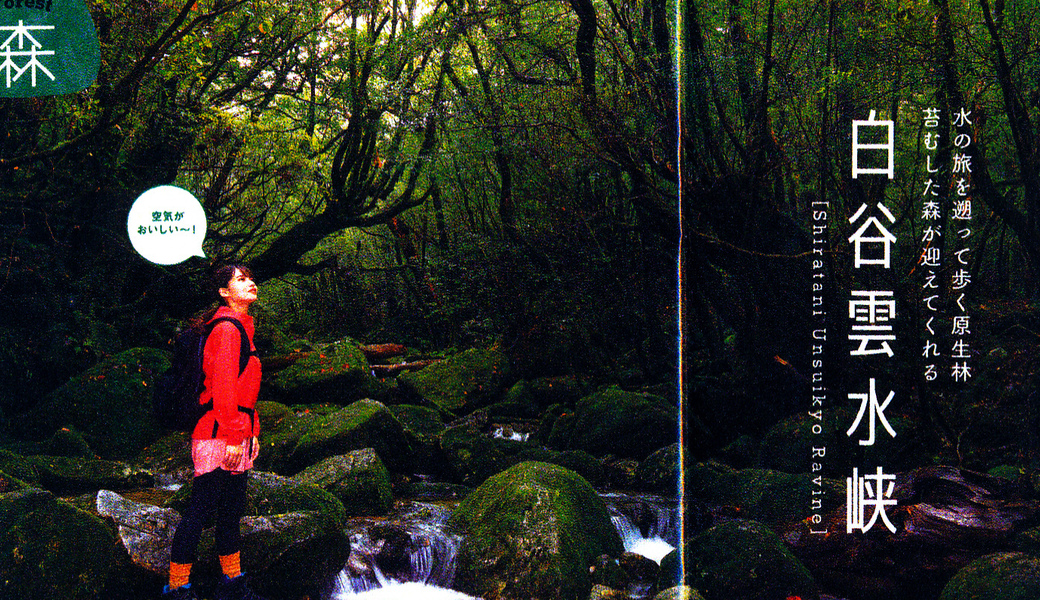 「山の日」白谷雲水峡のゴミ拾い アイキャッチ