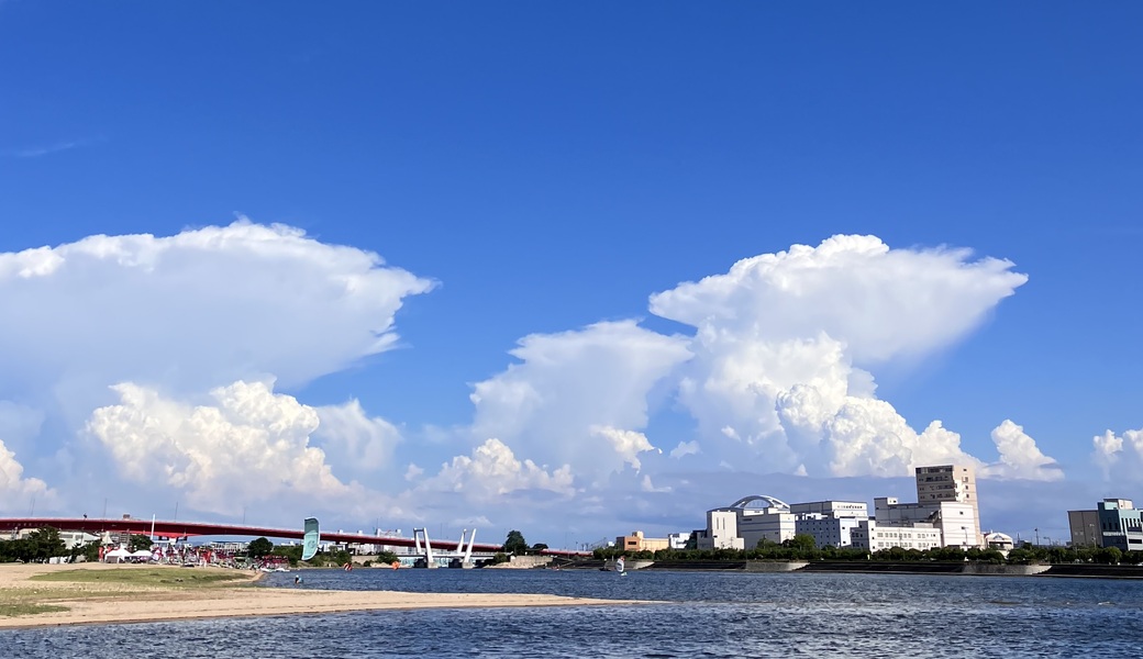 夏のごみ拾い レポート