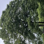 山中渓観光ボランティアガイド プロフィール