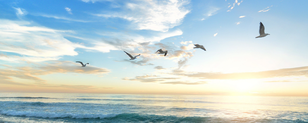 環境学習交流センター カバー