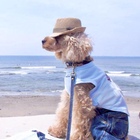 Duffy プロフィール