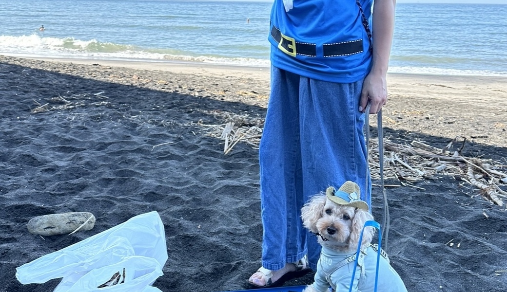 ブルーサンタ 2023 ★ Shichiri Beach Clean with Dog レポート