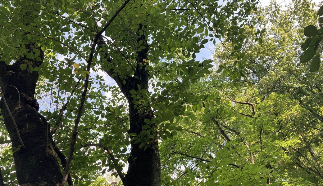 ブルーサンタ2023 ジョー・クールブルー ゴミ拾い レポート