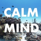 CALM MIND プロフィール