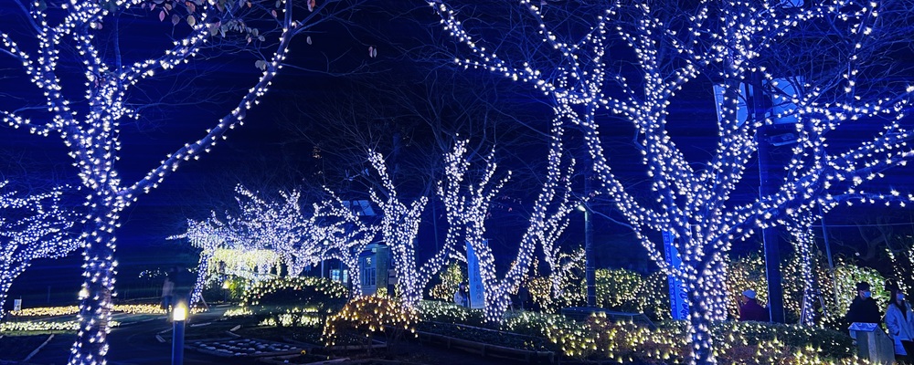 rosabanksiae カバー