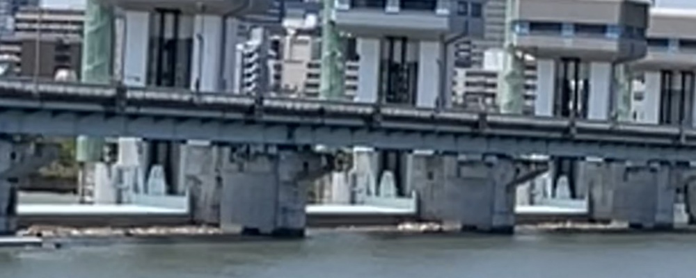 clean yodogawa ボランティア団体　プロジェクトチーム カバー