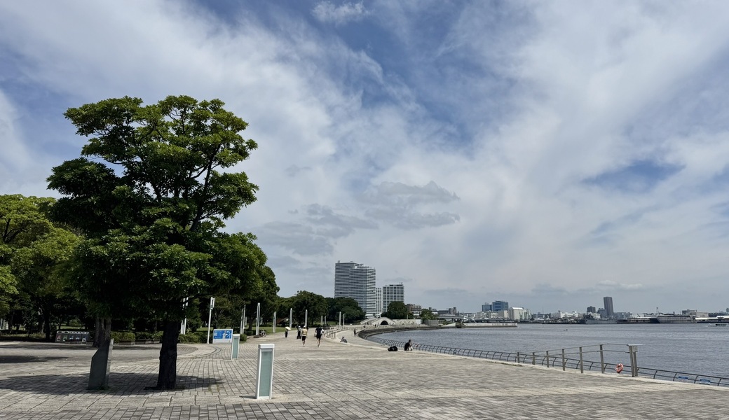 きれいな海へ レポート