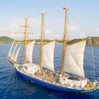 NPO法人ゼリ・ジャパン プロフィール