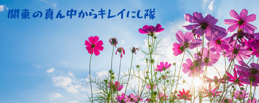 関東の真ん中からキレイにし隊 カバー