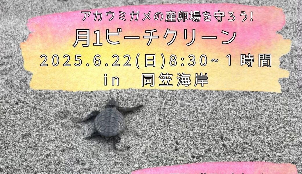 ブルーサンタになってアカウミガメの産卵場をきれいにしよう！ アイキャッチ
