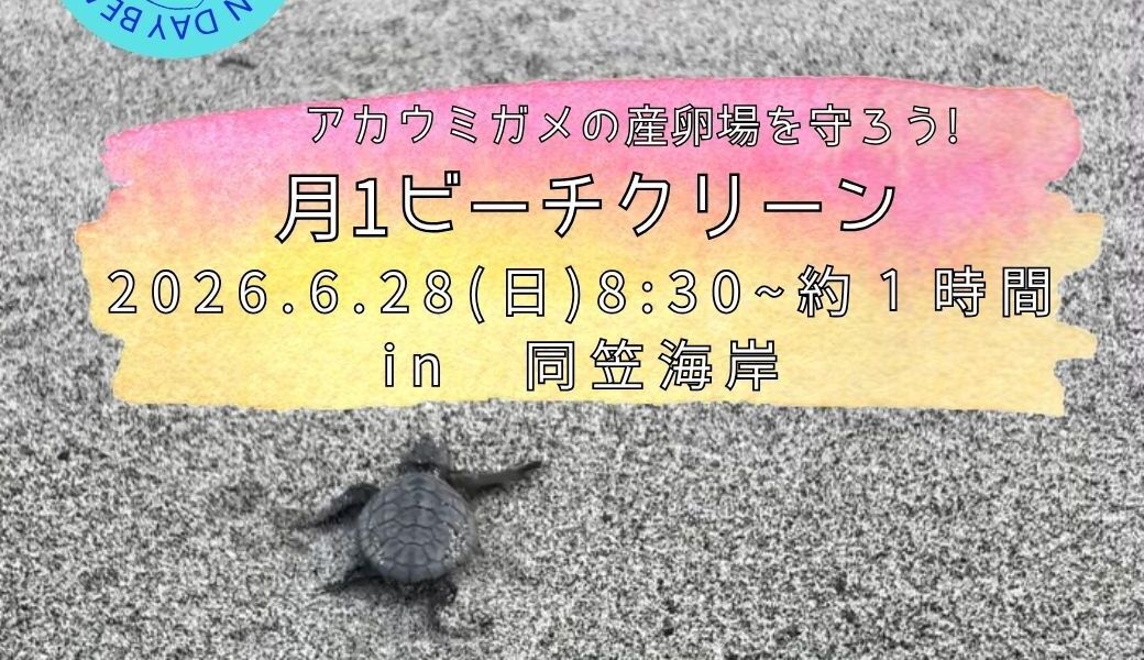 月１ビーチクリーン　〜アカウミガメの産卵場を守ろう〜 アイキャッチ