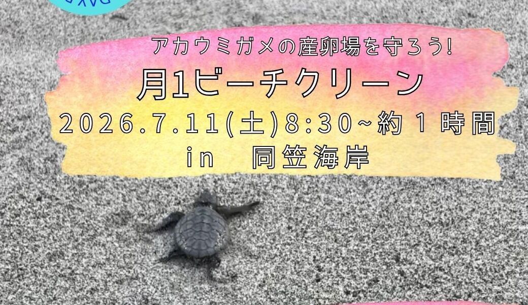 月１ビーチクリーン　〜アカウミガメの産卵場を守ろう〜 アイキャッチ