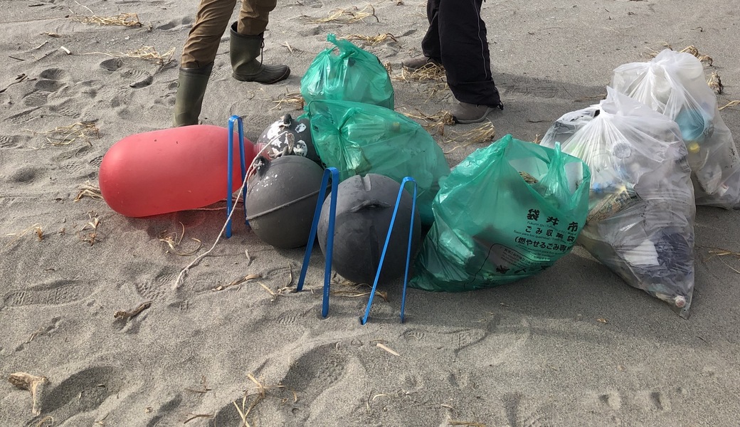 アカウミガメがやってくるビーチを守ろう レポート