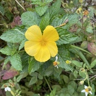 GaiaClean プロフィール