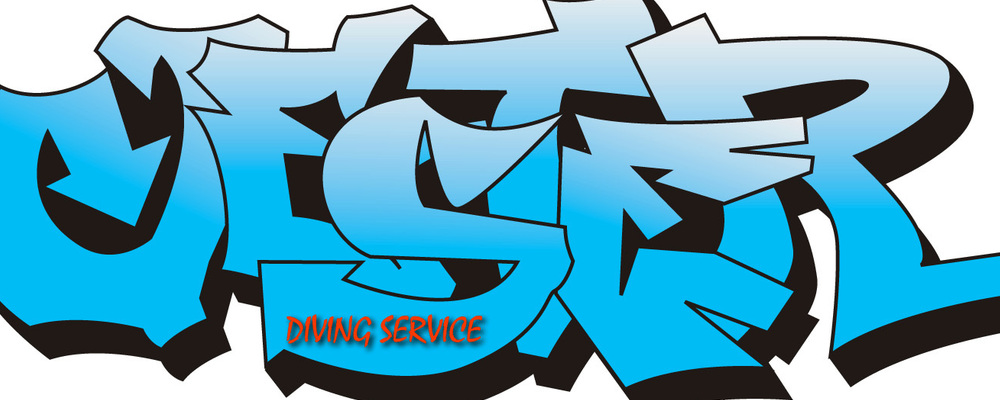 ジェスター カバー