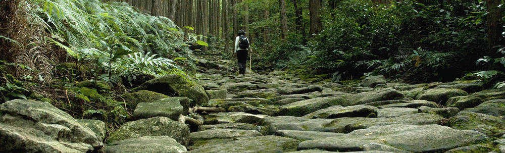 くまの体験企画 カバー