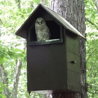 八ヶ岳フクロウ保護協会 プロフィール