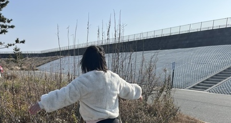 iira【イイラ】 カバー