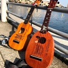 鎌倉もののふクリーン隊ウクレレ兎熊隊 プロフィール