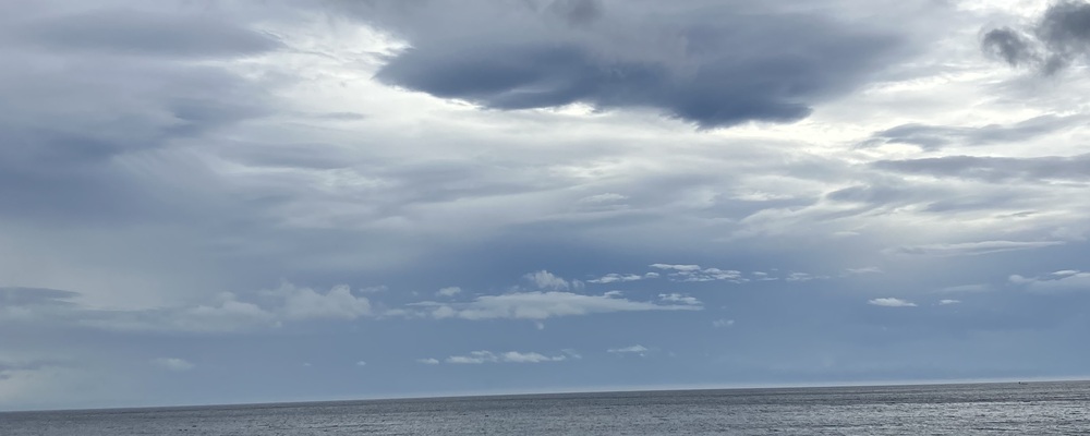 だいぶプラス　根府川ダイビングサービス カバー