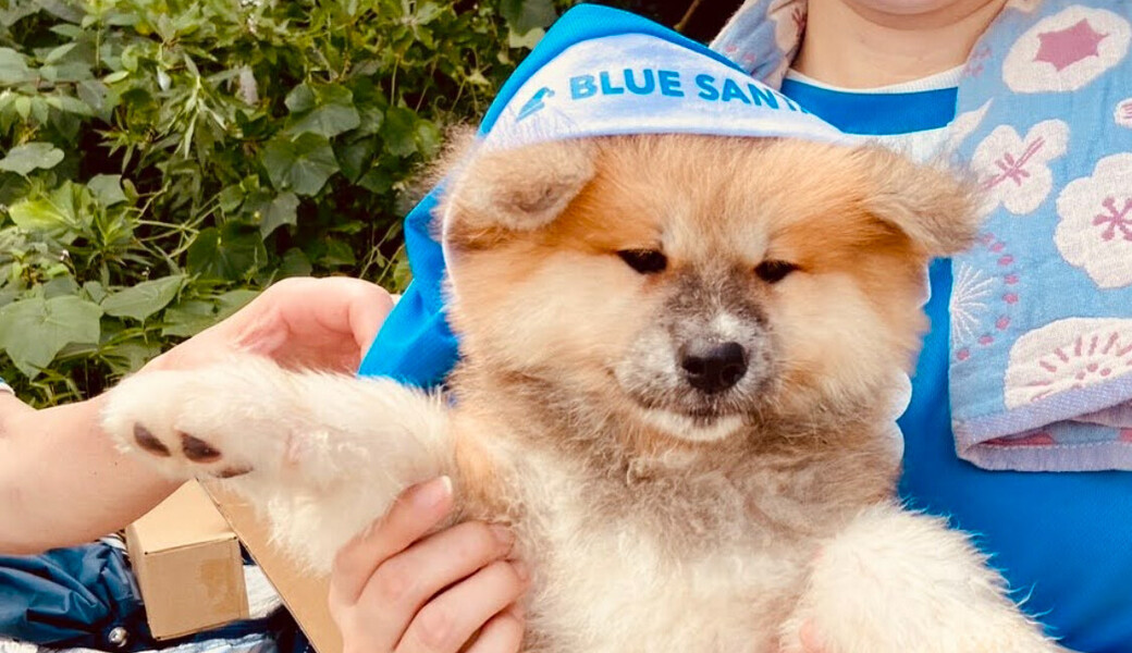 「BLUE SANTA」瀬戸内国立公園 大串海釣り公園の海掃除をしましょう！ アイキャッチ