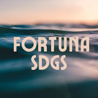 Fortuna SDGs プロフィール