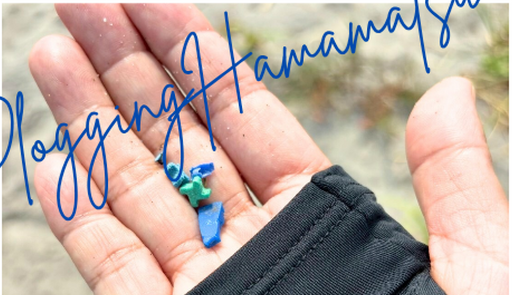 浜名湖無人島探検隊（浜名湖ブルーウォーク）★ アイキャッチ