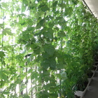 江東エコリーダーの会 プロフィール