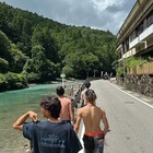 緑が好きな人の集まり プロフィール