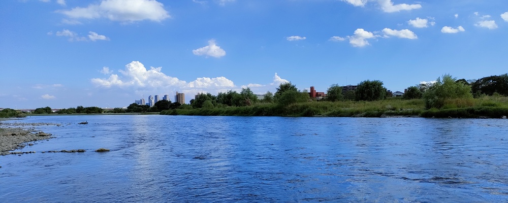 team notti カバー