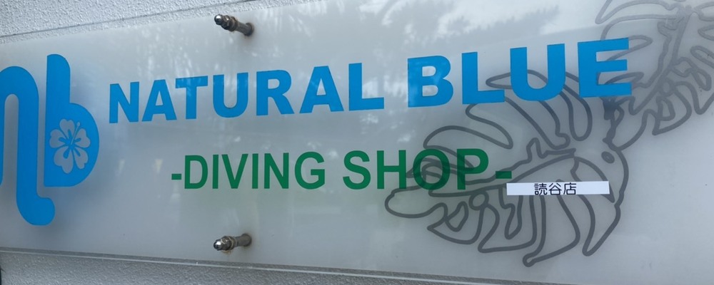 ナチュラルブルー カバー