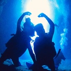 ナチュラルブルー プロフィール