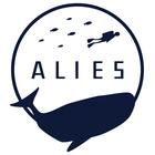 ダイビングショップアリエス プロフィール