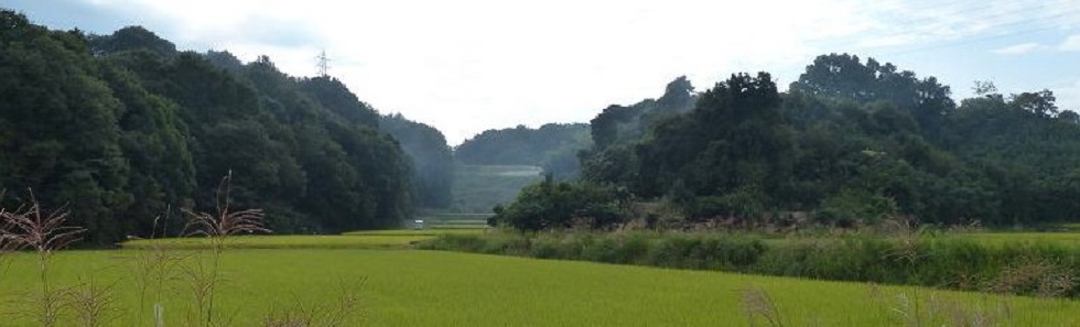 堺野鳥の会 カバー