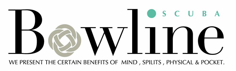 バウラインスクーバ カバー