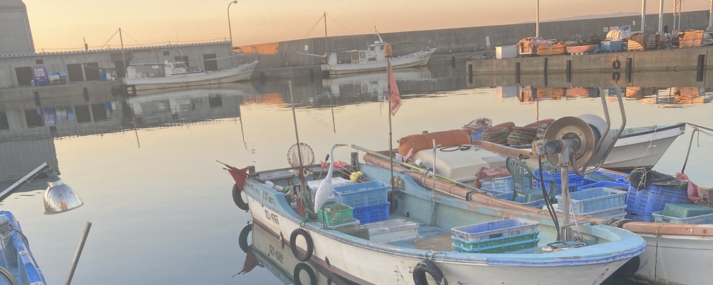 HappyGOLucky カバー