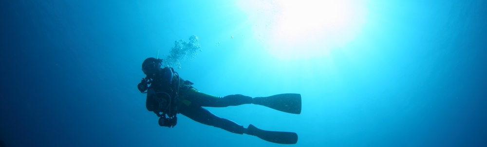 リラックス　ダイビング　サービス カバー