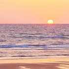 シンコースポーツ株式会社(鎌倉体育館) プロフィール