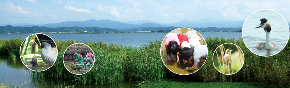 NPO法人河北潟湖沼研究所 カバー