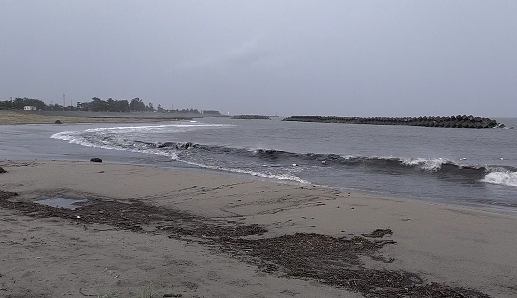 八重津浜ビーチクリーン レポート