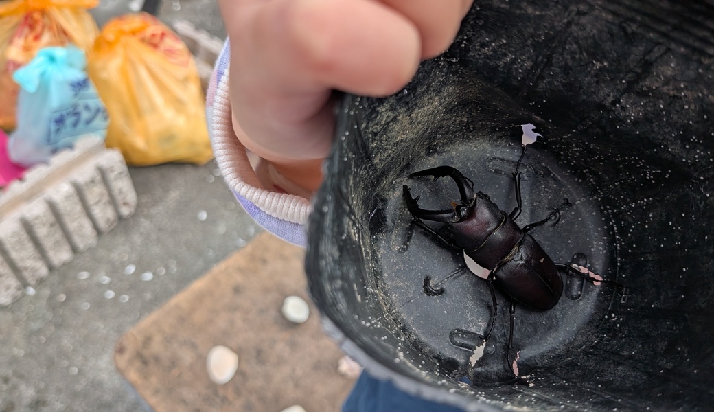 ビーチクリーン レポート